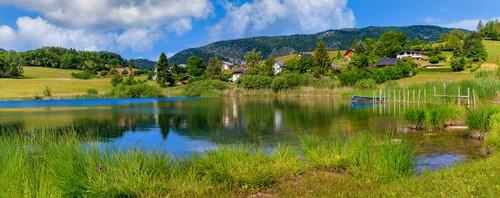озеро, отражение, природа, камыши, зеленые, синие, панорама 